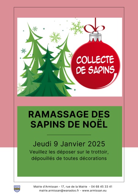 [SAPIN DE NOËL] Ramassage